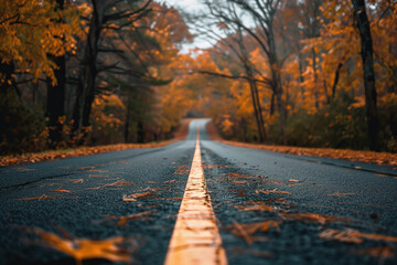 Poster - Road in autumn forest. Background image. Created with Generative AI technology.