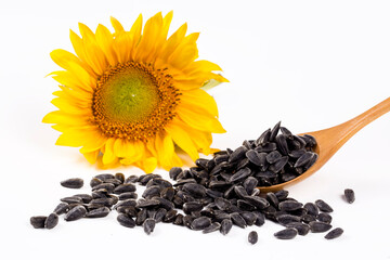 Sunflower with seeds placed on white background | HD rendered Photograph.