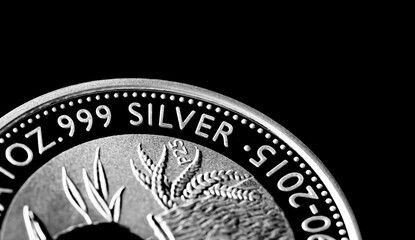 Wall Mural - Close up of  Silver Bullion Coin on a black mirror background