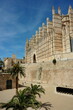 Die Kathedrale La Seu in Palma de Mallorca