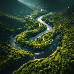Wall Mural - Aerial view of a winding river through a forest. 