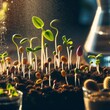 A vibrant scene captures the germination process with sprouts emerging from nutrient-rich soil. The backlight enhances the vitality of each young plant striving towards the light. AI generation