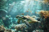 Fototapeta Tulipany - Green sea turtle swimming in coral reef. Underwater photo of marine life.