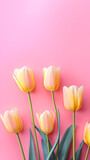 Fototapeta Tulipany - Tulip flowers and place for text