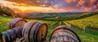 Sunset on wine bottles, barrels, and vineyards