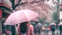 Person In Pink Outfit Standing On The Street In Spring With Pink Umbrella And With Pink Flowering Cherry Tree Petals Falling Down. 