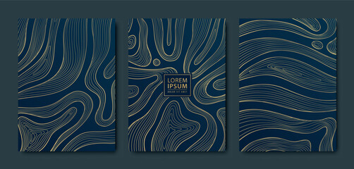 Wall Mural - vector set of gold line ribbons pattern, line organic shapes illustrations. art deco geometric textu