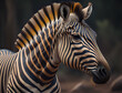 Close Up Zebra
