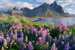 Blooming Field of Flowers With Mountain Background