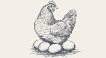 Chicken, Hen With Nest, Eggs. Vintage Retro Print, Chicken, Hen Eggs Sketch Ink Pencil Style Drawing, Engrave Old School. Sketch Artwork Silhouette Chicken, Hen With Nest, Eggs. Vector Illustration