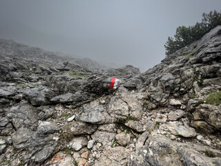 Wall Mural - A cloudy and foggy Hike though the Berchtesgaden Steinerne Meer landscape which is located between the border of Germany and Austria