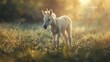 Translucent unicorn foal, first light, ground level, innocent charm style , advertising style