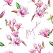 Magnolia pink flowers seamless pattern decor element. Watercolor vintage style illustration. Hand drawn spring tender blossoms on white background. Magnolia flowers spring season seamless pattern