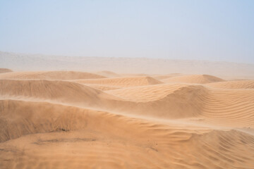 Wall Mural - wind on sand dune of the Sahara - southern Tunisia