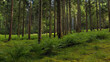 © robsonphoto - Green mossy woods with fern plants.