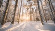 winter abstract landscape sunlight in the winter forest snowy nature scene cold weather frosty day