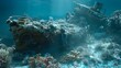 Vibrant coral-encrusted shipwreck provides habitat for marine life ai image