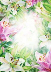 Wall Mural - White  and pink lilies  floral background. Watercolor illustration.