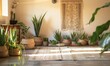 A serene yoga studio adorned with potted aloe vera plants