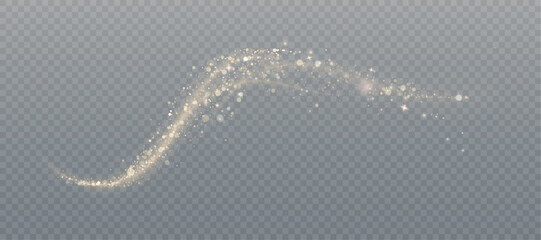 Leinwandbilder - Golden magic comet light effect with lots of sparkling bokke and shimmering light effects. Magic golden wind for web design and fairytale decoration. vector