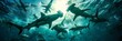 Graceful hammerhead sharks in clear ocean waters, iconic creatures in cinematic low angle shot
