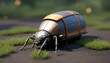 tiny house bug  (502)