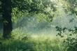 Enchanting forest glade bathed in soft morning light, lush greenery and dewdrops, nature photography