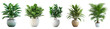 Beautiful plants in ceramic pots for isolated on transparent or white background