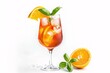a glass of orange juice with ice and orange slices