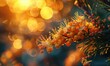 A close-up photograph of vibrant orange flowers with stamens and pistils, set against a blurred background with bokeh lights, creating a warm and glowing atmosphere.