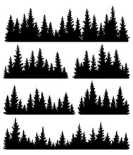Set Of Fir Trees Silhouettes. Coniferous Spruce Horizontal Background Patterns, Black Evergreen Woods Illustration. Beautiful Hand Drawn Panoramas Of Coniferous Forest