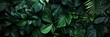 green leafs background HD elegant for banner aspect ratio 3:1