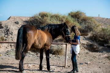 Wall Mural - Beautiful girl and her horse in nature