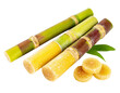 Fresh and raw sugarcane or Saccharum officinarum, topview and isolated