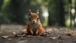 Eichhörnchen als Cartoons im Wald, ai generativ