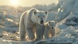 Arctic polar bear mother and cubs in frozen tundra landscape with detailed fur under soft sunlight