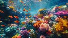 An Aerial View Of A Vibrant Coral Reef Bustling With Colorful Fish And Other Marine Life