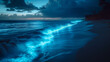 © Gun - Sea water that hits the shore And the glow from the plankton creates a beautiful light on the beach.