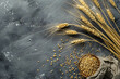 Golden wheat ears and scattered grains on a textured grey background, wheat one of the most traded commodities, demand and supply for food processing