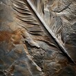 Closeup of a fossilized dinosaur feather, emphasizing the link between dinosaurs and birds, great for evolutionary biology