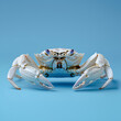 A detailed close-up of a crab against a solid blue background.