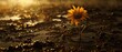 Realistic portrayal of a sunflower barely rising in wet, dark earth, with a single ray of hope above