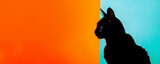 Fototapeta Do akwarium - Black cat silhouette against orange and blue background