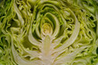 Cutted head of raw cabbage, close- up.