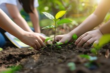 Gros Plan Des Mains Des élèves Plantant Des Arbres - L’illustration Du Concept Passe Au Vert Dans Le Jardin De L’école