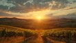 A sunset over rolling hills and vineyards - the beauty of wine country
