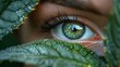 Close-up of a human eye with leaf foreground
