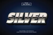 © Pickypicks - Silver text effect. Editable font style