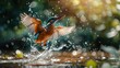 Dynamic kingfisher diving, vibrant blue flash, water splash, hyperrealistic high detail shot