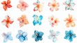 Delicate Watercolor Floral Arrangements Generative AI